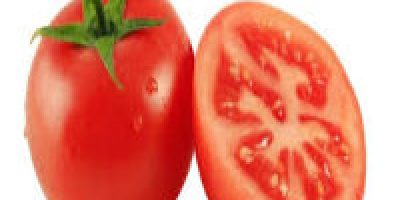 Tomatoes cure cancer