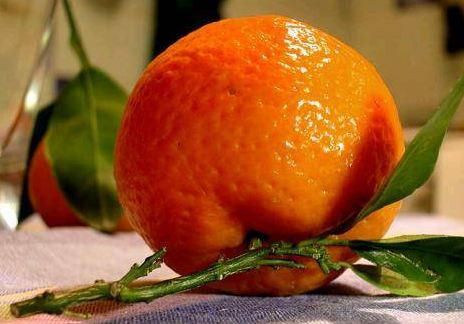 Orange Malta